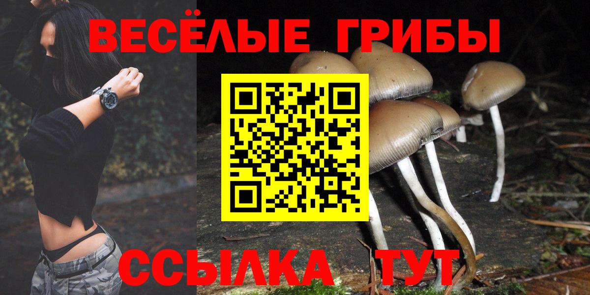 Псилоцибиновые грибы Psilocybe Нижневартовск
